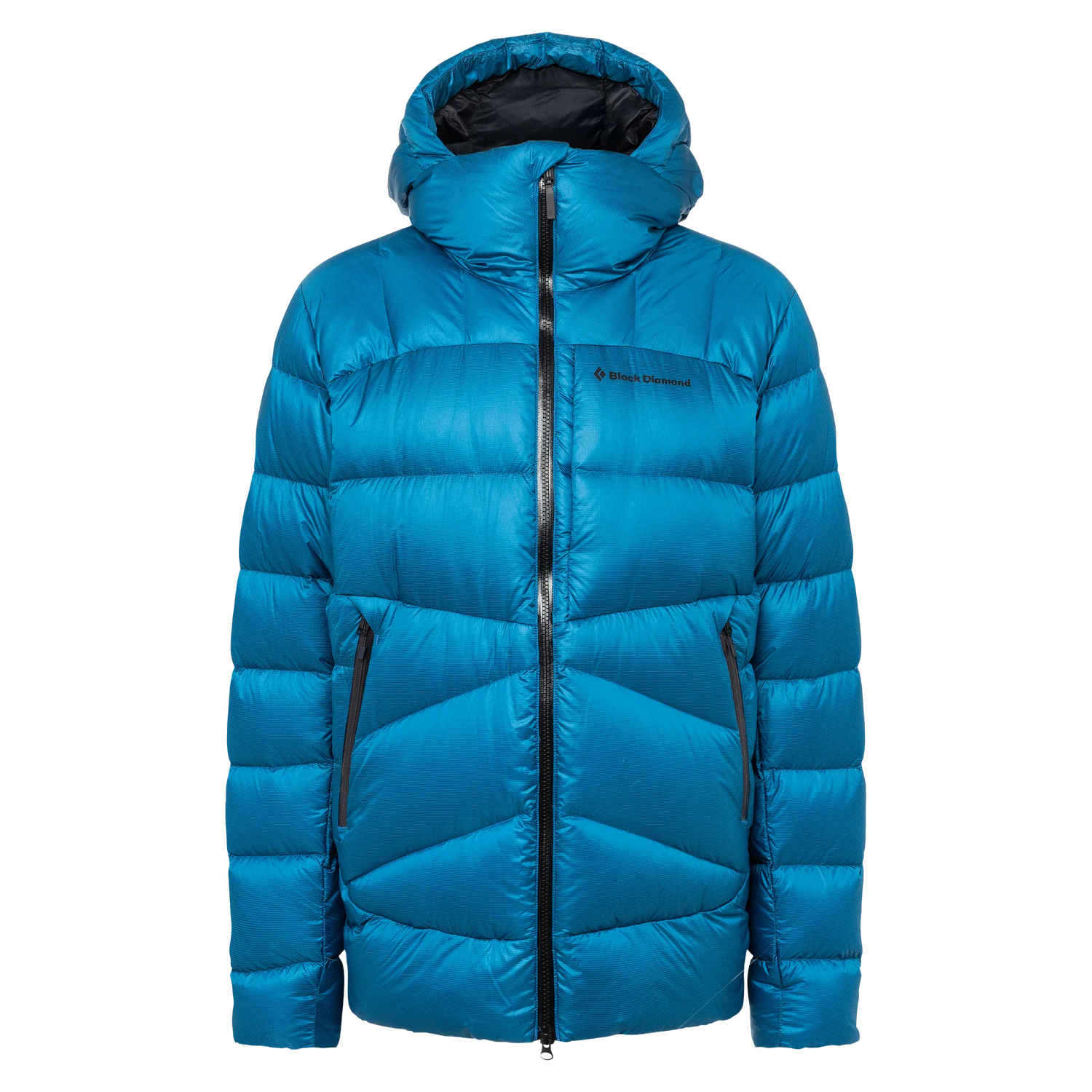 Vision Down Parka
