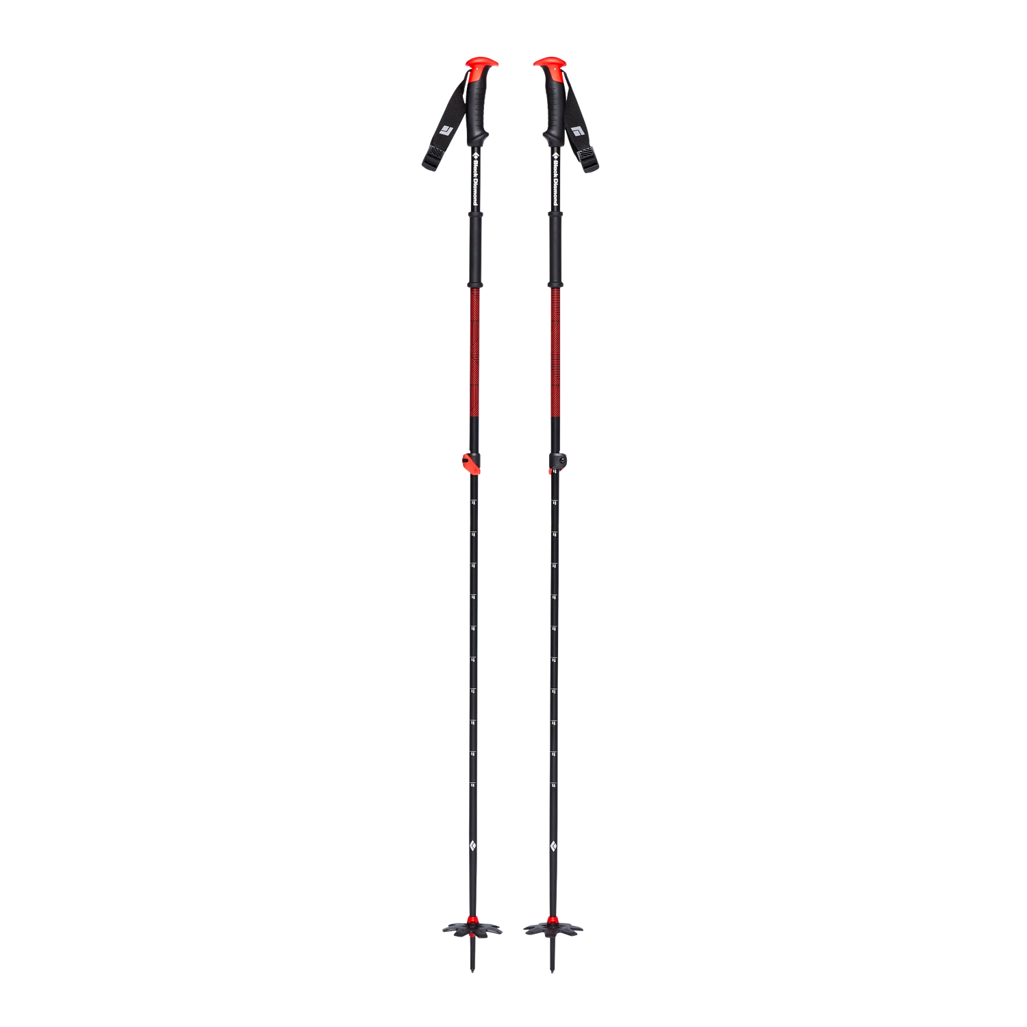 Traverse Ski Poles