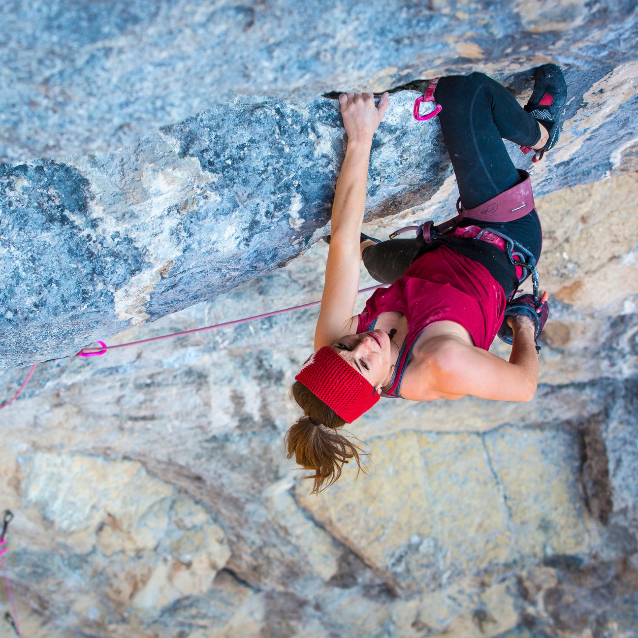 Climbing Harnesses