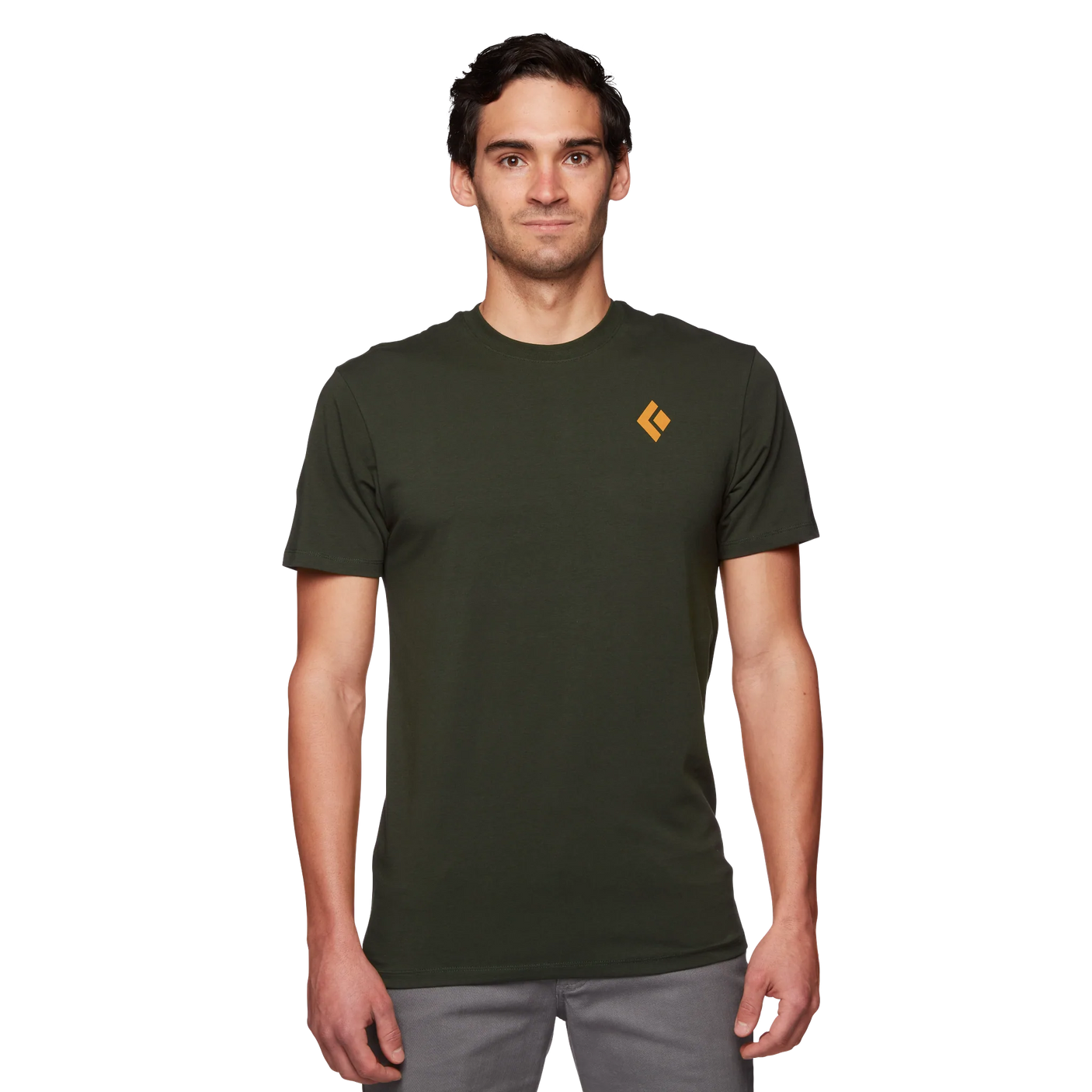 Mountain Badge Tee