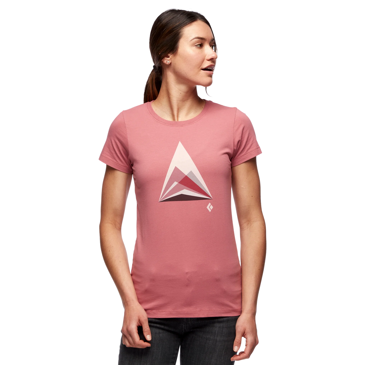 Mountain Transparency T-Shirt