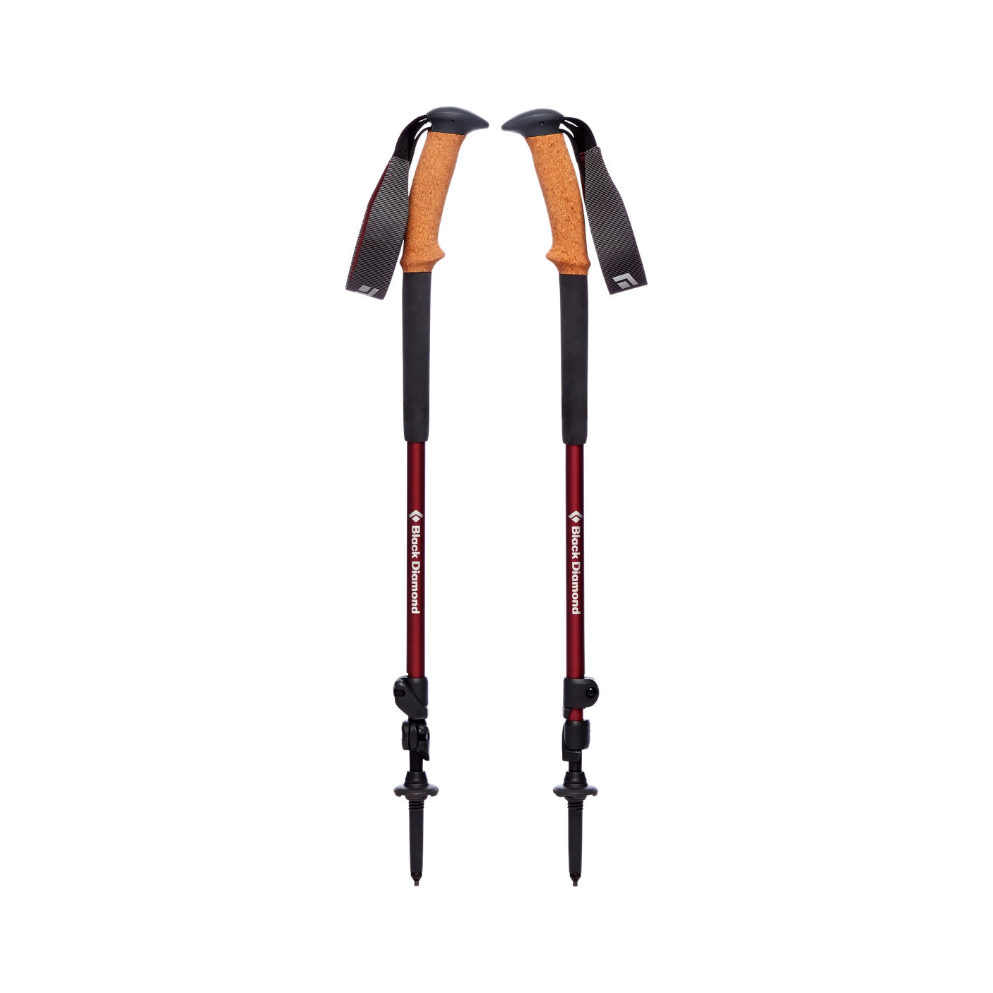 Trail Ergo Cork Trekking Poles - Women's