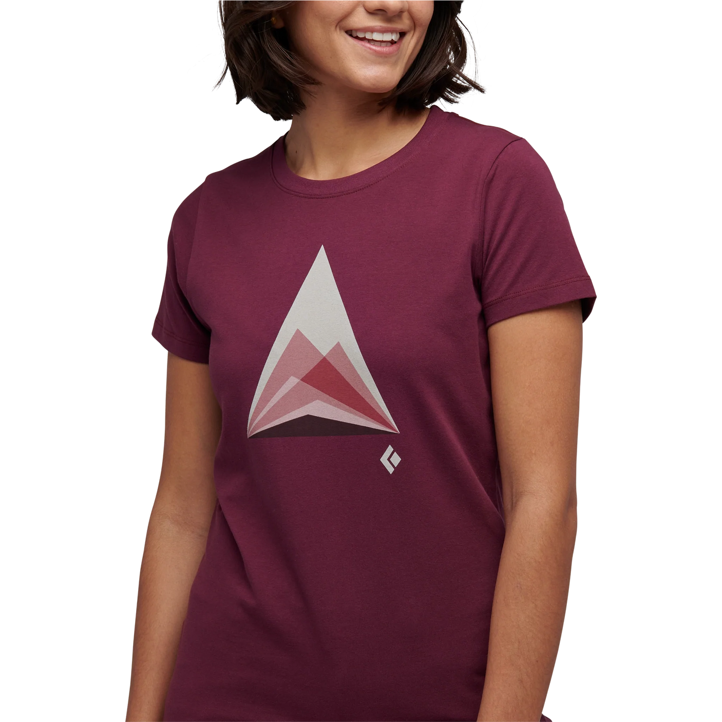 Mountain Transparency T-Shirt