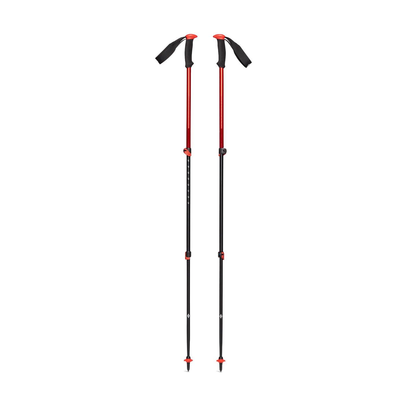 Trail Sport Trekking Poles