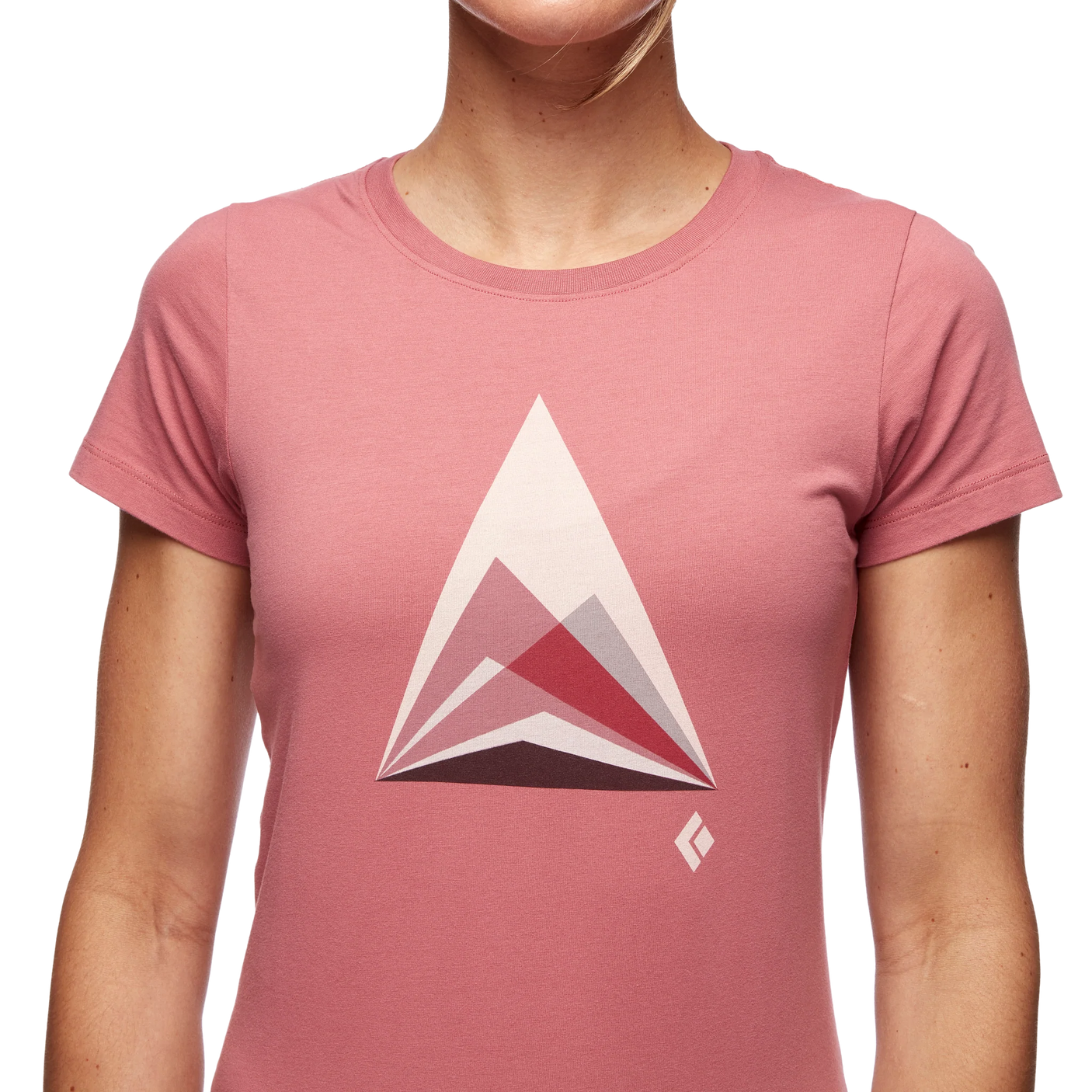 Mountain Transparency T-Shirt