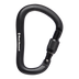 RockLock Screwgate Carabiner