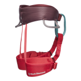 Momentum Harness - Kid's