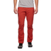 Technician Alpine Pants