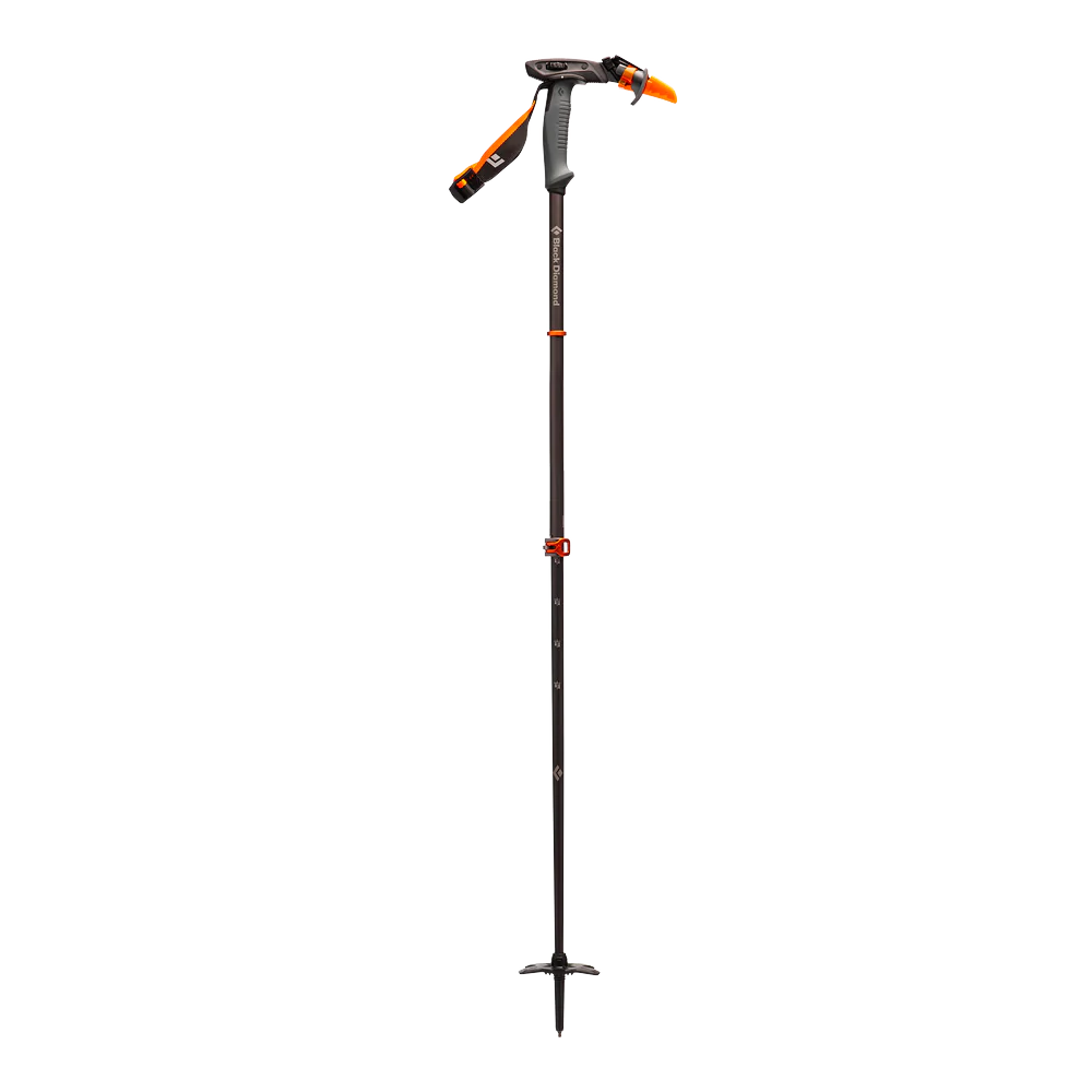 Carbon Whippet Ski Pole