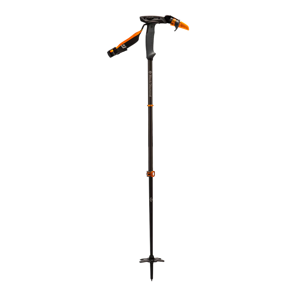 Carbon Whippet Ski Pole