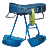 Momentum Harness - Kid's