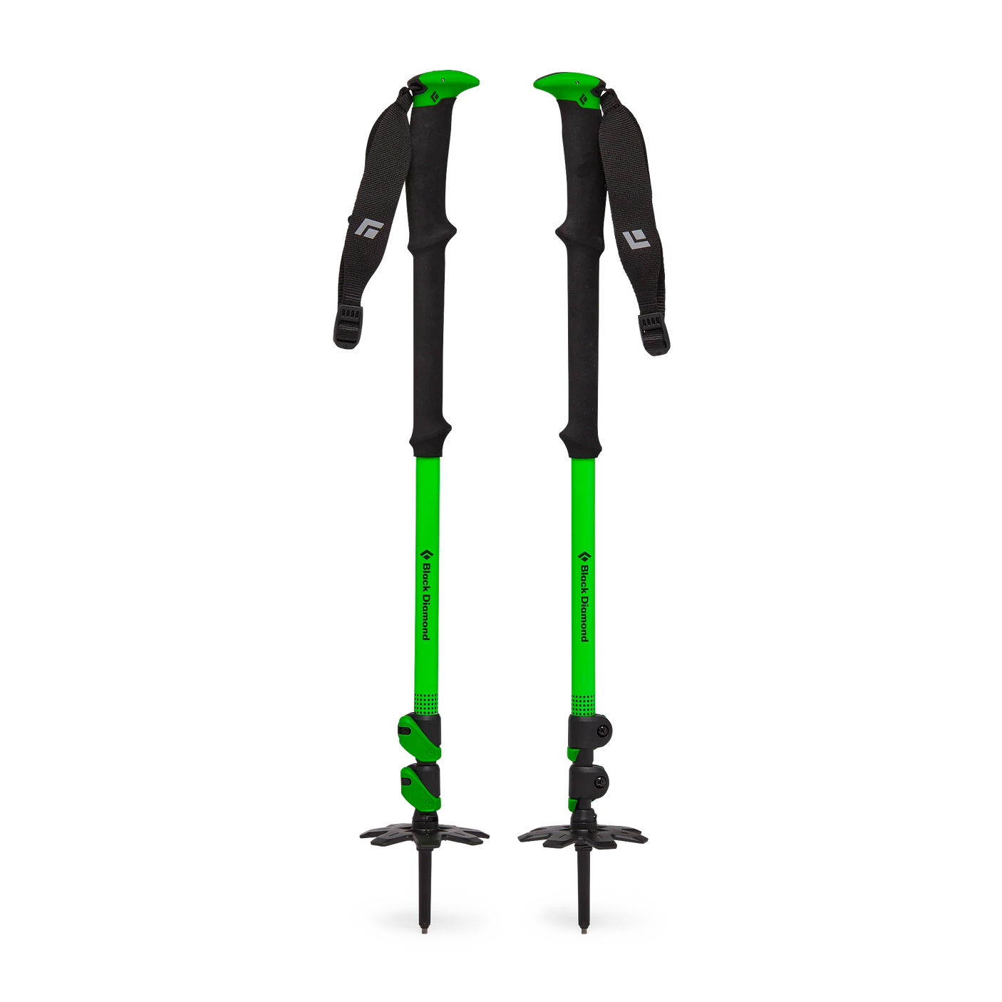 Expedition WR 3 Ski Poles