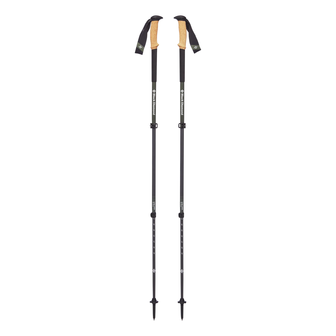 Alpine Carbon Cork Trekking Poles