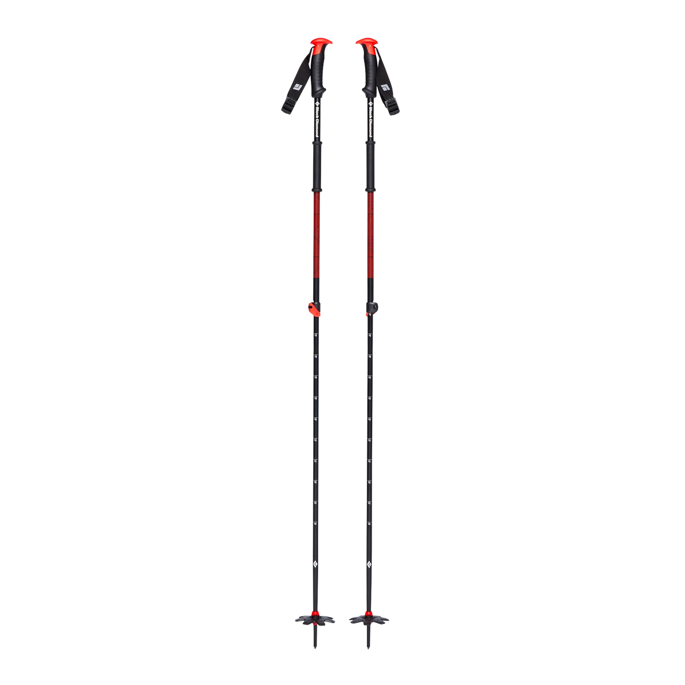 Traverse Ski Poles