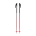 Vapor AL Ski Pole